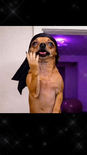 #kingnasir #kingnasirdance #capcut #capcutpioneer #capcut nowThe King Nasir Dance Meme is blowing up TikTok! I’ll show you how to make this edit in 1 minute!Want to make the viral King Nasir Dance Meme? I’ll teach you step by step with no skills needed! This King Nasir Dance Meme is everywhere! Let me show you how to recreate it fast! king nasir dance meme tutorial king nasir dance trend edit king nasir dance capcut tutorial king nasir dance meme template king nasir dance viral video king nasir 