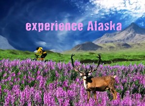 Active Learning at APU