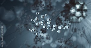 Citrinin rotating 3d molecule, molecular structure of mycotoxin, seamless video