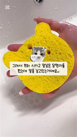오트밀 때비누🌾🧼#비누 #비누asmr #비누계 #비누놀이 #스펀지 #asmr #asmrsounds #asmrvideo #곰돌이스펀지 #오트밀 #때비누 #뽀야