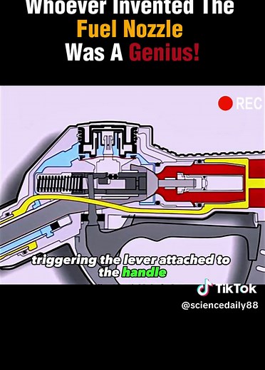 #tiktokusa #usa #science #foryou #fyp #learnontiktok