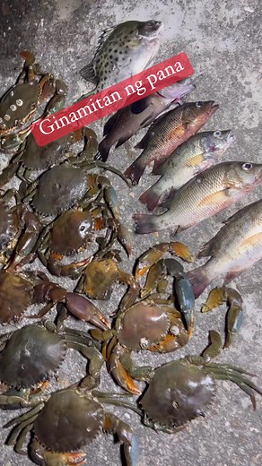 Alimango at mga snapper | Kabsat Jhong