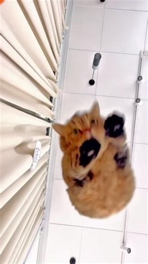 Don't lie down to watch this video! AIO: LQ360 #deepcool #LQ360 #LQ240 #airflow #pcbuilding #fps #gamingpc #gamerlife #esports #cpucooler #lga1700 #am4 #am5 #cpu | DeepCool