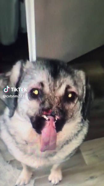 cvbnm (@cvbnm227)’s videos with original sound - Gin