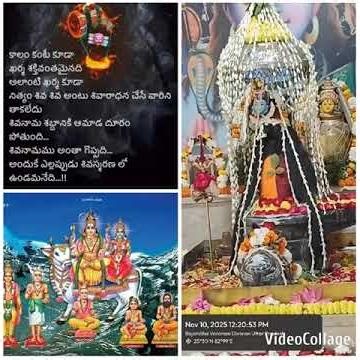 శ్రీ శివ పూజ ఇంట్లో ఎలా చేయాలో తెలుసుకుందాం How to do siva pooja at home 🙏karthika masam importance