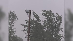 30K views · 173 reactions | Tuesday is the anniversary of the 2012 Derecho that caused widespread damage across the area. The peak wind gust measured at Fort Wayne International Airport that day was 91 mph! What do you remember from that storm 9 years ago? | WANE 15 | Facebook