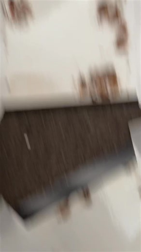 🚨 𝐆𝐞𝐫𝐦𝐚𝐧 𝐂𝐨𝐜𝐤𝐫𝐨𝐚𝐜𝐡 𝐈𝐧𝐟𝐞𝐬𝐭𝐚𝐭𝐢𝐨𝐧 — 𝟐𝐧𝐝 𝐕𝐢𝐬𝐢𝐭 𝐒𝐮𝐜𝐜𝐞𝐬𝐬 𝐒𝐭𝐨𝐫𝐲! This morning one of our technicians headed over to a block of flats in the Sheffield area for one of our long-standing clients for a second visit for German cockroaches. This flat was heavily infested with German cockroaches on our first visit we found adults, different stages of nymphs and even gravid females (carrying eggs). Fast-forward 14 days the tenant has reported no further live sight