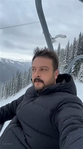 Why do owls sit on human bodies? #facts #amazingfacts #factshorts #animatic #sound