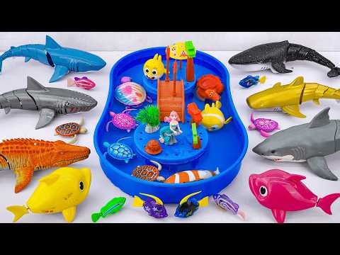 Satisfied unboxing aquarium mysterious turtle box hippocampus box set ASMR | Toy evaluation