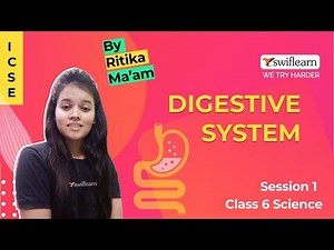 Digestive System | ICSE Class 6 | Science Online Class | Session 1 - Swiflearn