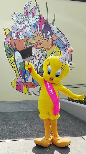 Warner Bros. Movie World Tweety Bird Mural - Fun Looney Tunes Painting