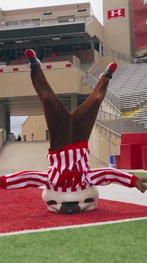 Memories with Bucky Badger: A Mascot Reveal