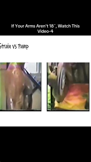 If Your Arms Aren't 18˝, Watch This Video-4 | Arm Workouts