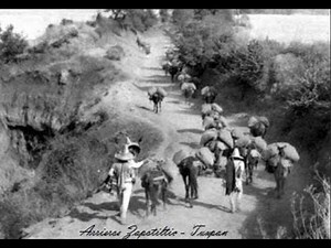 Royal Road to Colima Introduction