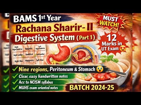 Digestive System-1✅ | Rachana Sharir | 1st year |#bams #rachanasharir #muhs #ncism #anatomy #stomach