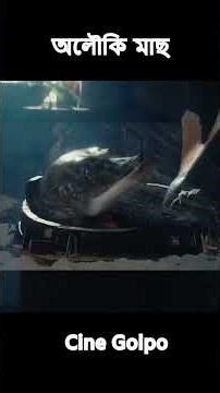 মাছের রাজকুমারী! মাইনাস ৩০ ডিগ্রিতে জাদুর রহস্য