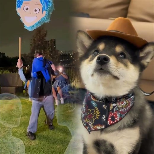 They DESTROYED the piñata I made… ✂️😔💔