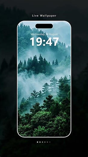 Relaxing nature foggy forest. link in the description.