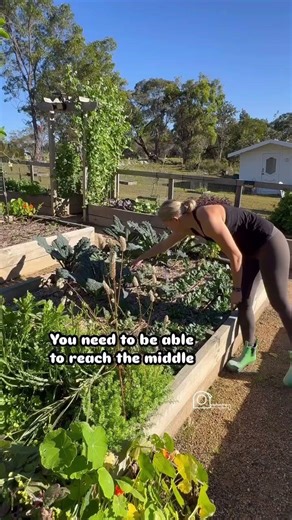 How to Plan Your Garden Layout (The 2026 Efficiency Guide) 🌿