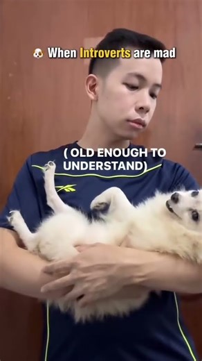 When extrovert vs introverts angry