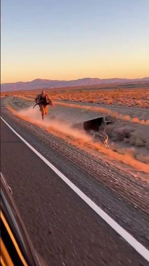 Desert Chase: Hunter vs. Jackrabbit Speed Battle Along the Highway #ai #sora #viral #shorts
