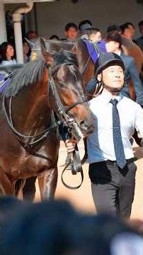 2023年に生まれた馬の中で一番速い馬は誰だ。 皐月賞2026 パドック映像。 #競馬 #中山競馬場 #皐月賞 #速い馬 #horse