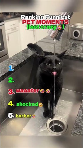 You’ll Laugh in 10 Seconds 😂🐾 | Funniest Animal Moments