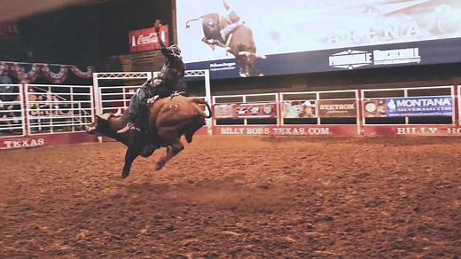 119 reactions · 25 shares | YeeHaw! Did you know that over the past 30 years, more than 47,500 bulls have bucked in Billy Bob’s arena. Check out our live bull riding every Friday and Saturday night at 9pm & 10pm. | Billy Bob's Texas | Facebook