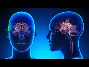 WAVi Brain Scan Part I