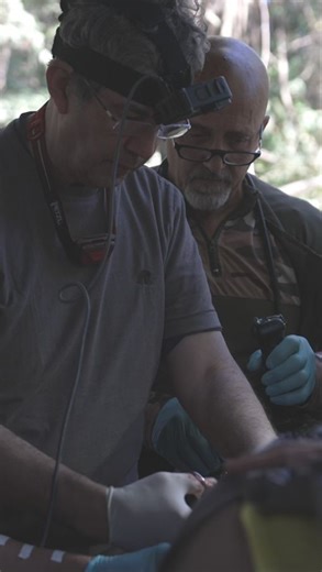 Our Co-Founder Professor David Nott on BBC Radio 4 this morning talking about his recent trip to Myanmar with the Free Burma Rangers. ‘I am a Christian. I’ve done this for 39 years or so and been to many war zones. I pray to God please give me strength to carry on. It’s so important to have a guiding light in this situation.’ #warsurgeons | David Nott Foundation