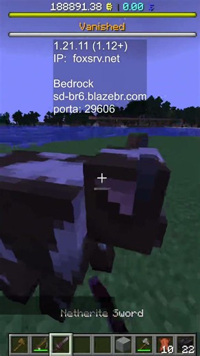 Melhor Servidor De Minecraft Brasileiro Bedrock e Java com voicechat