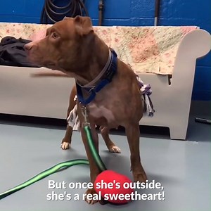 14K views · 230 reactions | Update! Athena has been placed with...