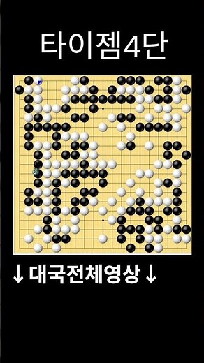 Tygem 4th Dan game
