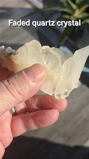 Faden Quartz is a master healer and amplifier of intentions! ✨ This spectacular crystal is said to repair and strengthen the aura, promoting clarity, focus, and spiritual growth. Its unique, web-like inclusions are a testament to its incredible energy. Treat yourself or gift it to someone special - it's a treasure for any crystal lover! 💎 InSpyrit Metaphysical 401 East 23rd Street Suite G Panama City, FL 32405 Phone: 850-740-3623 TikTok: @inspyritmetaphysical1 Instagram: @inspyritmetaphysicalFP