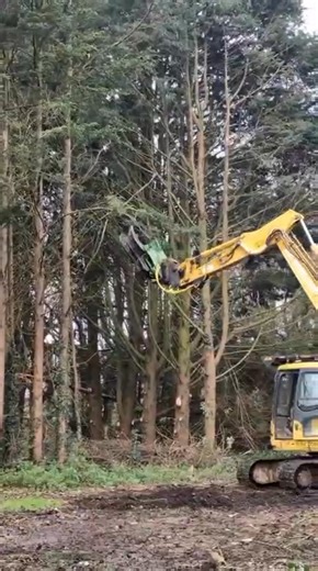 OMEF Shears Hard At Work #ForestryEquipment #treeshear | B Thomas Engineering