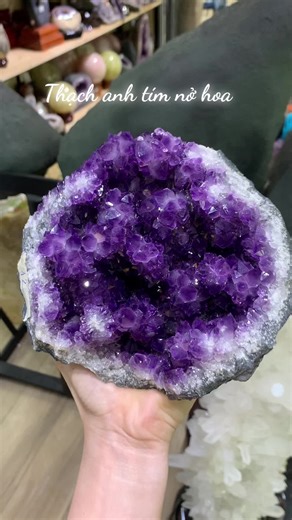 Flower Amethyst #xh #cadadecor #amethyst