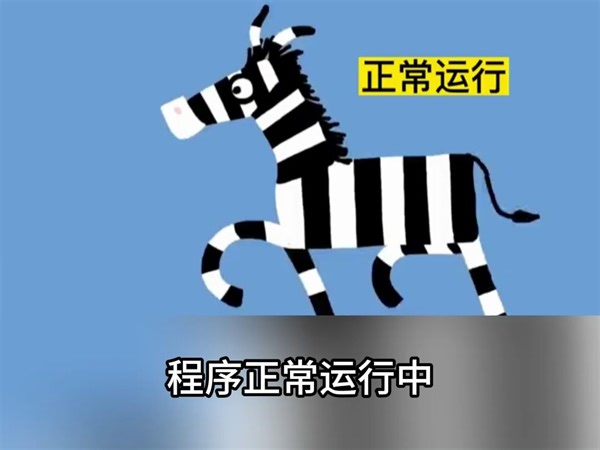 当运行的程序出现BUG的时候