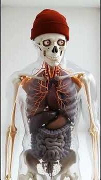 How long can you survive without water?