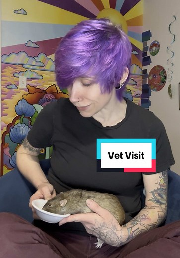 Essential Care for Your Pet Rats: Tips and Insights