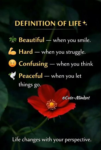 Definition of Life 🌿 | A Simple Truth About Life #cutemindset #motivation #quotes #ytshorts #viral
