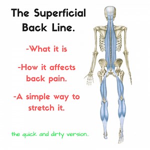 The Superficial Back Line (SBL) and Back Pain: A super simple stretch to bring relief - Fitness 4 Back Pain