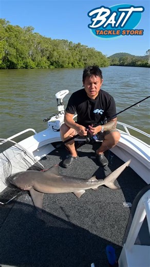 🦈🎣 SHARK FISHING SEASON IS ON — Brisbane & Logan River! 🌊🔥 Chasing big sharks in the Brisbane and Logan River? We’ve got you covered from start to finish 💪 Whether you’re land-based or boat-based, we stock EVERYTHING you need to gear up and go hard. We can also take you to target them. ✅ Fresh & frozen bait ✅ Heavy-duty hooks & rigs ✅ Shark-ready rods & reels ✅ Leaders, wire, sinkers & tackle ✅ Expert advice to get you hooked up No guesswork — just solid gear and solid hookups 🦈⚓ Swing by 