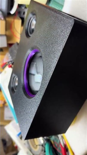 Nice excursion passive radiator