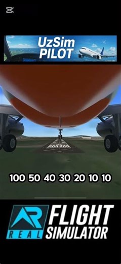 RFS - butter landing #flightsimulator #aviation