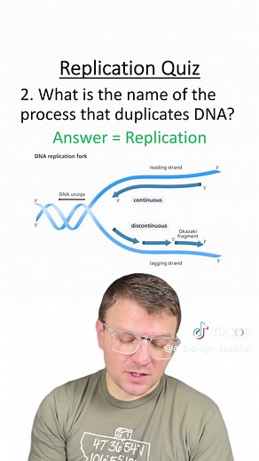 Understanding DNA Replication: A Comprehensive Quiz