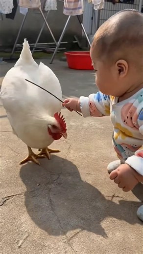 Moments You Can't Miss Pure Vibes Only Watch Till the End! #viral #shorts