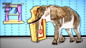 Creative Animation Effects with Elephants