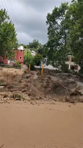 When flood destroying everything #floods #viral #trending #disaster #nature