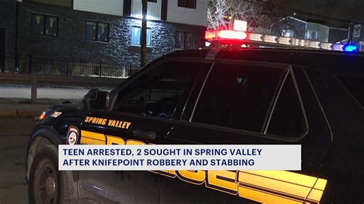 Teen arrested, 2 sought in violent Spring Valley robbery