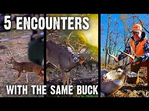 Lessons from Chasing and Harvesting a Mature Buck (846)